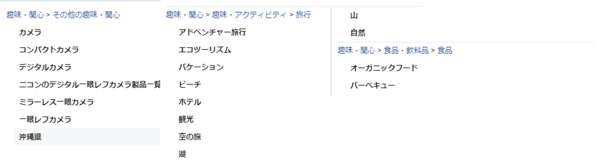 離島観光デジタルマーケティング活用戦略13