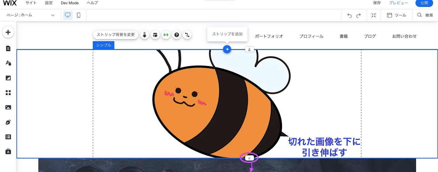 Wixで画像の最適なサイズは？Wix内で画像編集が完結する方法をご紹介！