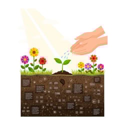 芽を育てる